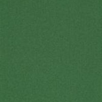 Shaw Carpet Tile Color Accents Dark Green 18" Shaw Shaw 