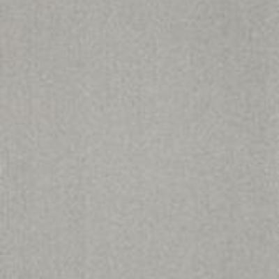 Shaw Carpet Tile Color Accents Silver 18" Shaw Shaw 