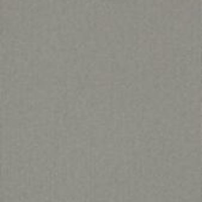 Shaw Carpet Tile Color Accents Cement 18