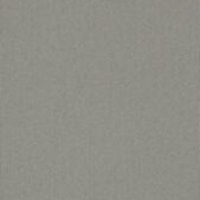 Shaw Carpet Tile Color Accents Cement 18" Shaw Shaw 