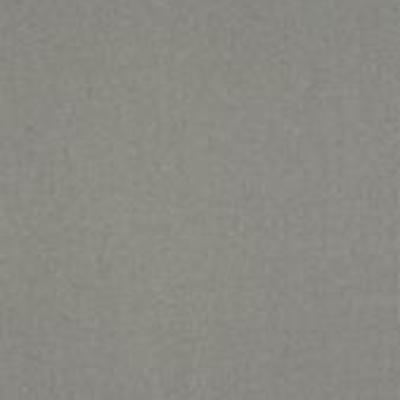Shaw Carpet Tile Color Accents Med Gray 18" Shaw Shaw 