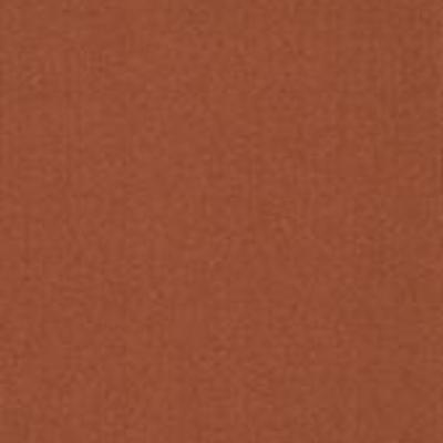 Shaw Carpet Tile Color Accents Paprika 18" Shaw Shaw 