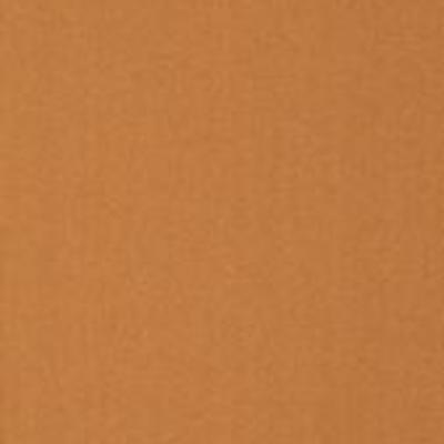 Shaw Carpet Tile Color Accents Orange 18" Shaw Shaw 