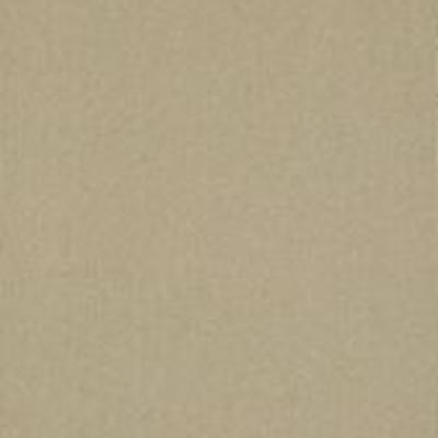 Shaw Carpet Tile Color Accents Cashmere 18" Shaw Shaw 