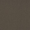 Shaw Carpet Tile Color Accents Bark 18" Shaw Shaw 