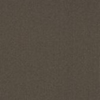 Shaw Carpet Tile Color Accents Bark 18" Shaw Shaw 