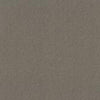 Shaw Carpet Tile Color Accents Portabella 18" Shaw Shaw 