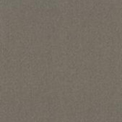 Shaw Carpet Tile Color Accents Portabella 18" Shaw Shaw 