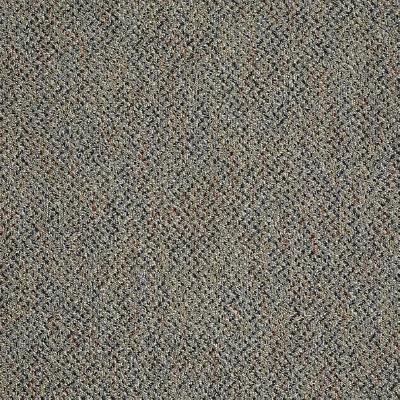 Shaw Carpet Tile Zing Tile Joyous Shaw Shaw 