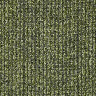 Shaw Carpet Tile Urban Geometry Angled Edge Shaw Shaw 