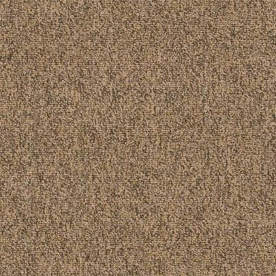 Shaw Carpet Tile Multiplicity Abundance Shaw Shaw 
