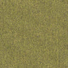 Shaw Carpet Tile Multiplicity Exuberant Shaw Shaw 