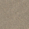 Shaw Carpet Tile Multiplicity Batch Shaw Shaw 