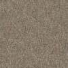 Shaw Carpet Tile Multiplicity Cluster Shaw Shaw 