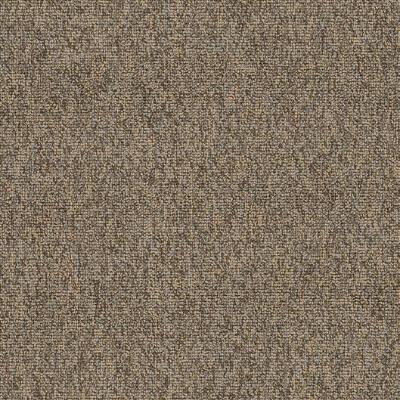 Shaw Carpet Tile Multiplicity Oodles Shaw Shaw 