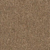 Shaw Carpet Tile Multiplicity Exuberance Shaw Shaw 