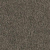 Shaw Carpet Tile Multiplicity Volume Shaw Shaw 