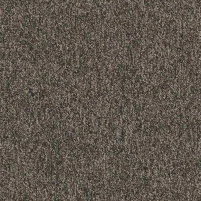 Shaw Carpet Tile Multiplicity Volume Shaw Shaw 