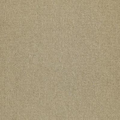 Shaw Carpet Tile Counterpart Copy Cat Shaw Shaw 