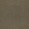 Shaw Carpet Tile Counterpart Spitting Image Shaw Shaw 