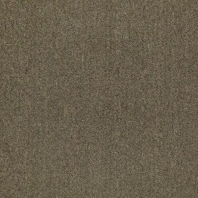 Shaw Carpet Tile Counterpart Spitting Image