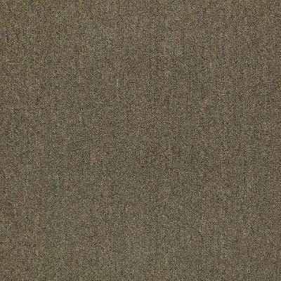 Shaw Carpet Tile Counterpart Spitting Image Shaw Shaw 