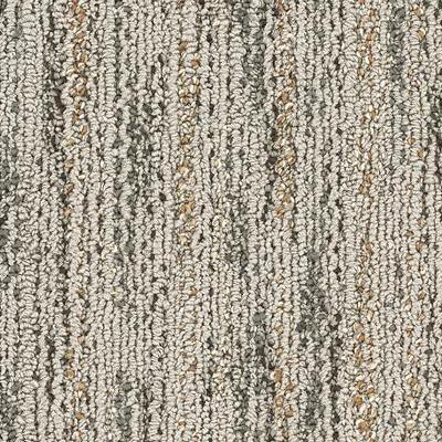 Shaw Carpet Tile Layers Dalmatian Jasper