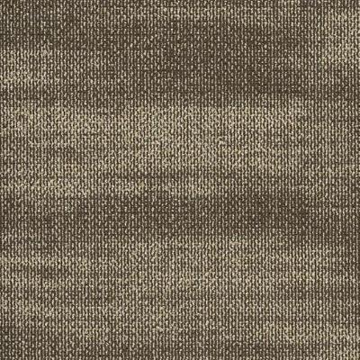 Shaw Carpet Tile Ridges Aragonite Shaw Shaw 