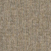 Shaw Carpet Tile Crazy Smart Astute Shaw Shaw 