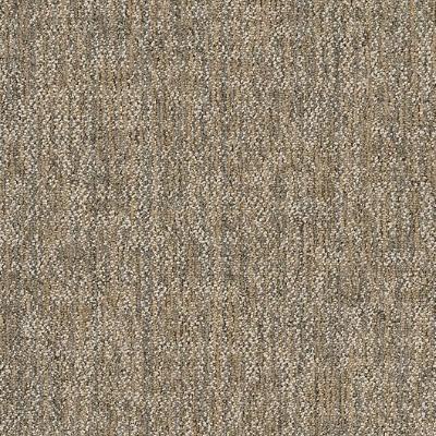 Shaw Carpet Tile Crazy Smart Astute