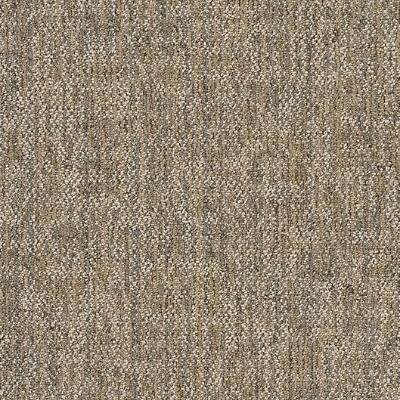 Shaw Carpet Tile Crazy Smart Astute Shaw Shaw 