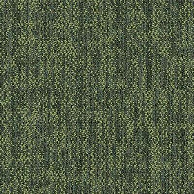 Shaw Carpet Tile Crazy Smart Witty Shaw Shaw 
