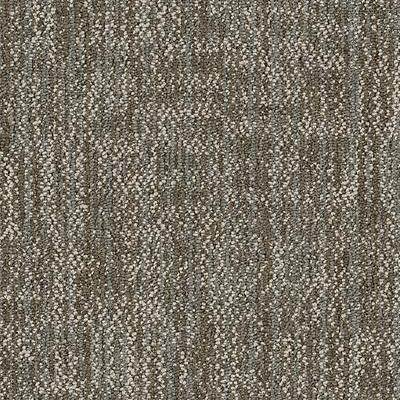 Shaw Carpet Tile Crazy Smart Showy