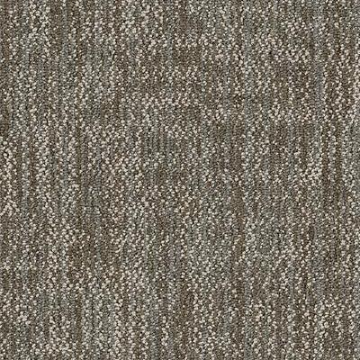 Shaw Carpet Tile Crazy Smart Showy Shaw Shaw 