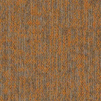 Shaw Carpet Tile Crazy Smart Magnetic Shaw Shaw 