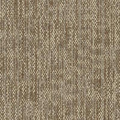 Shaw Carpet Tile Crazy Smart Igenious Shaw Shaw 