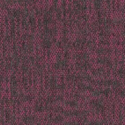 Shaw Carpet Tile Crazy Smart Hotshot Shaw Shaw 