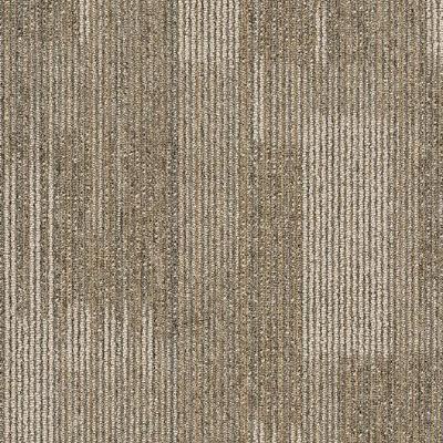 Shaw Carpet Tile Pure Attitude Astute