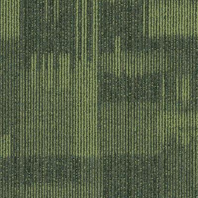 Shaw Carpet Tile Pure Attitude Witty Shaw Shaw 