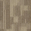 Shaw Carpet Tile Pure Attitude Igenious Shaw Shaw 