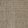 Shaw Carpet Tile Raw Beauty Astute Shaw Shaw 