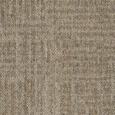 Shaw Carpet Tile Raw Beauty Astute