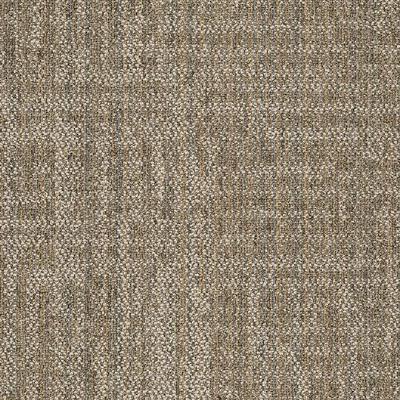 Shaw Carpet Tile Raw Beauty Astute Shaw Shaw 