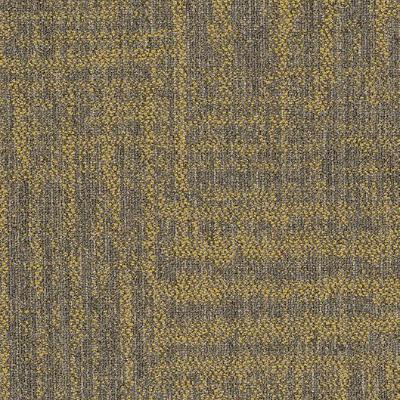 Shaw Carpet Tile Raw Beauty Radiant