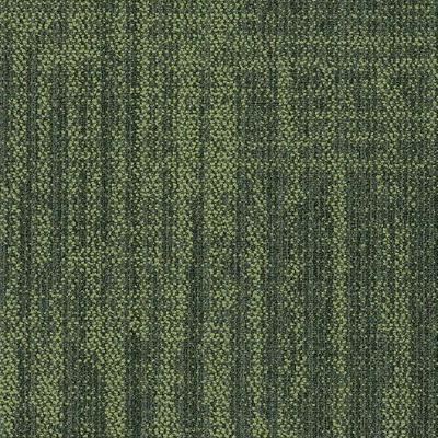 Shaw Carpet Tile Raw Beauty Witty Shaw Shaw 