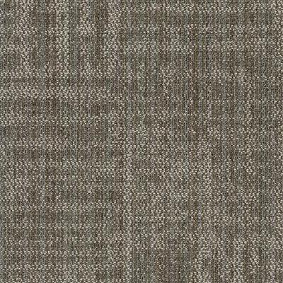 Shaw Carpet Tile Raw Beauty Showy Shaw Shaw 