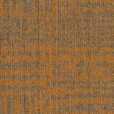 Shaw Carpet Tile Raw Beauty Magnetic Shaw Shaw 