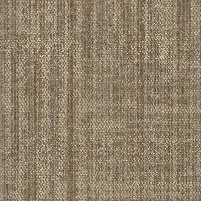 Shaw Carpet Tile Raw Beauty Ingenious