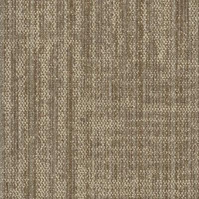 Shaw Carpet Tile Raw Beauty Ingenious Shaw Shaw 