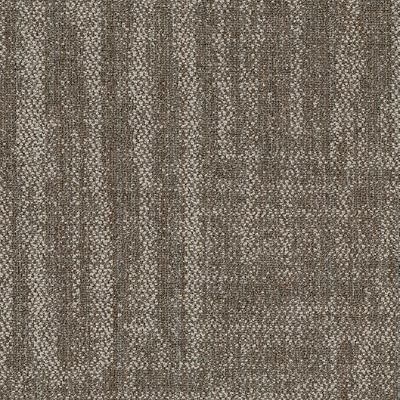 Shaw Carpet Tile Raw Beauty Keen Shaw Shaw 